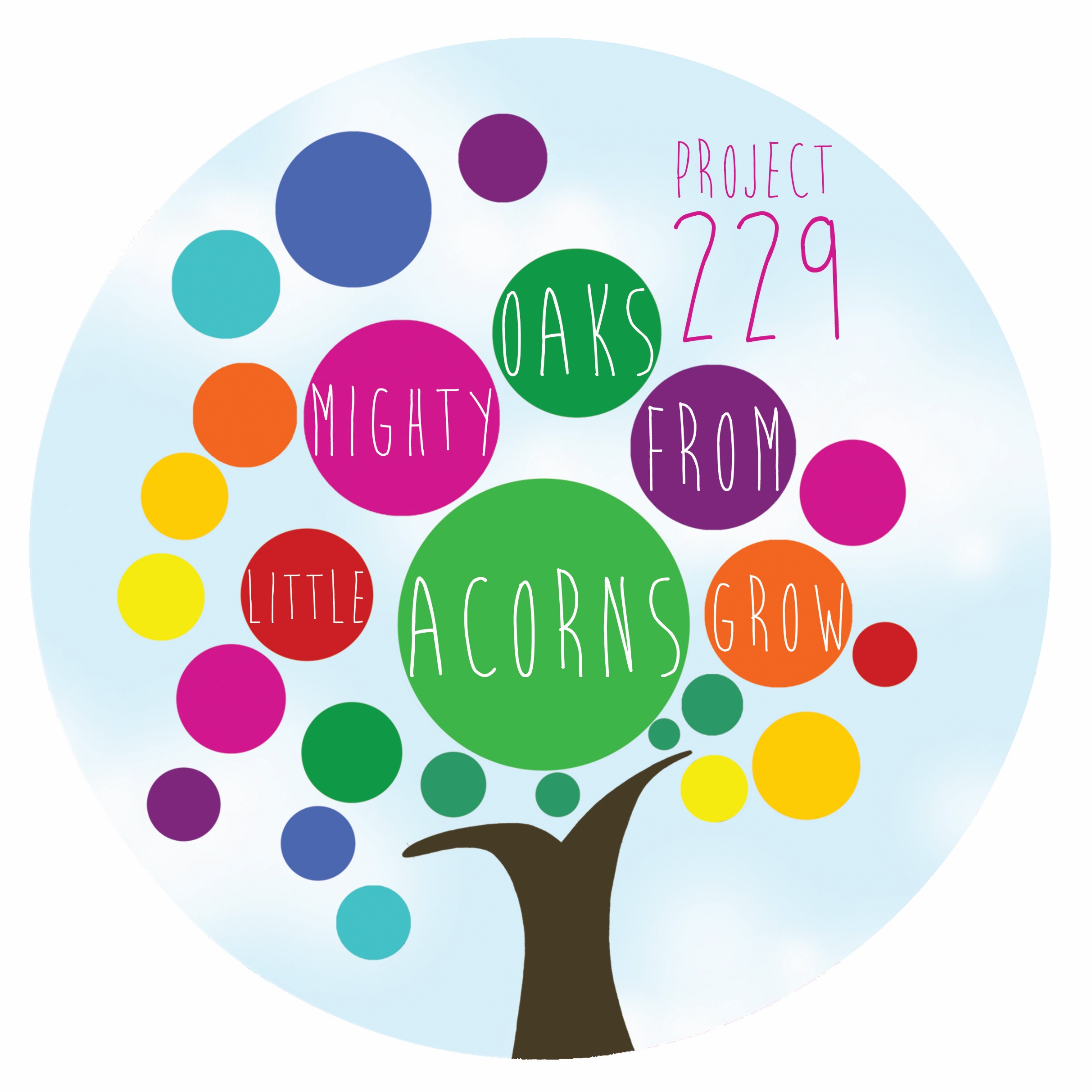 Project 229 Logo